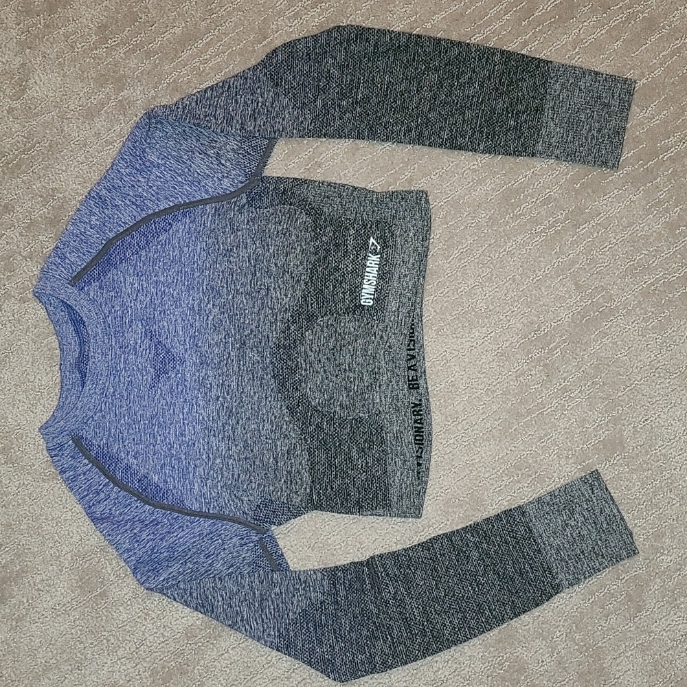 Gymshark Ombre Crop Long Sleeve